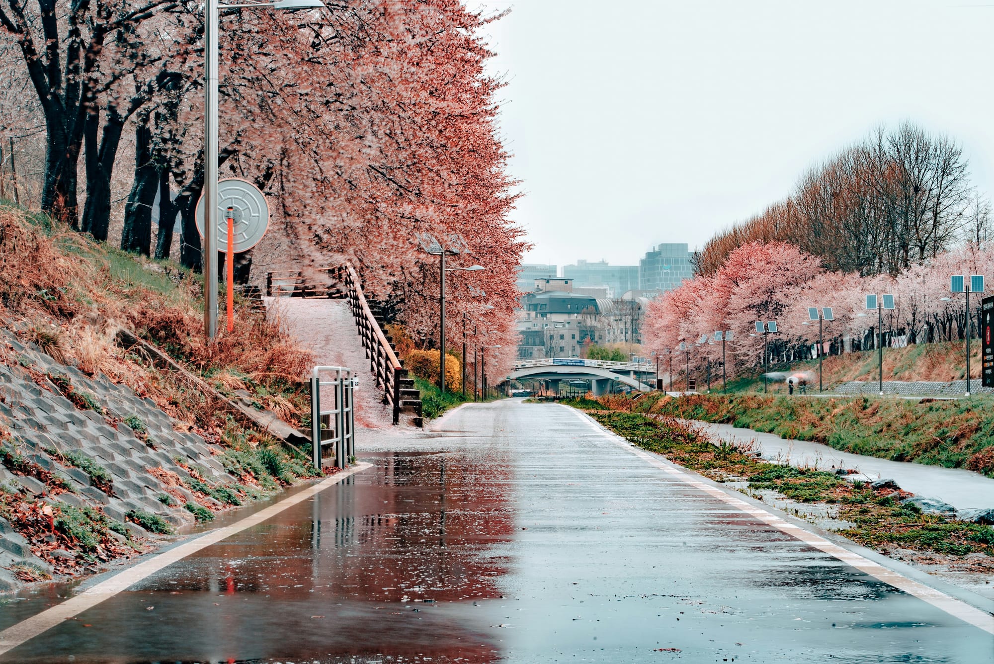 태그 렌유AI